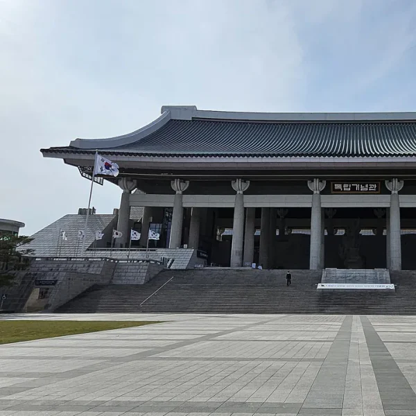 프리미엄 레이케어 테라피 안내 이미지