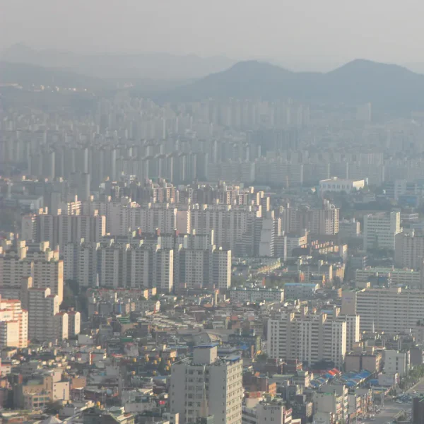 클래식 레드존스테이 테라피 안내 이미지