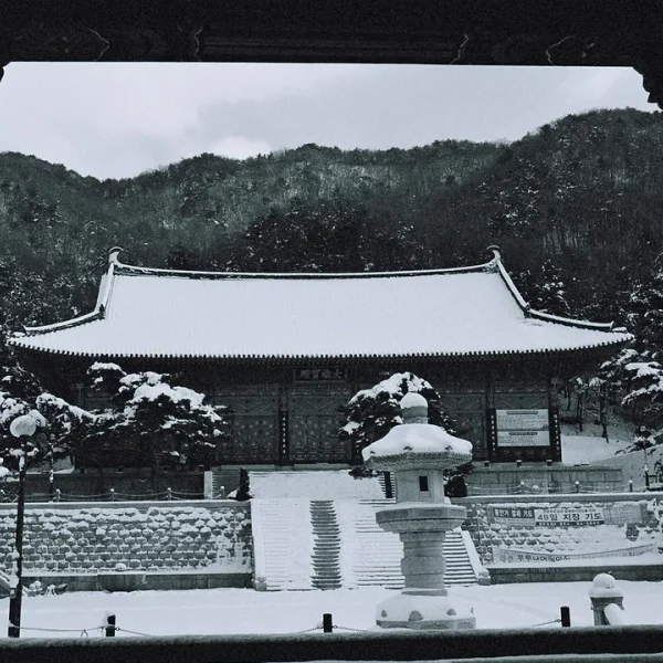 프리미엄 예리스튜디오 마사지 대표 안내 이미지